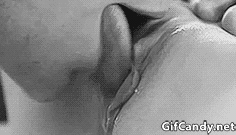 gifcandy-pussy-licking-178.gif